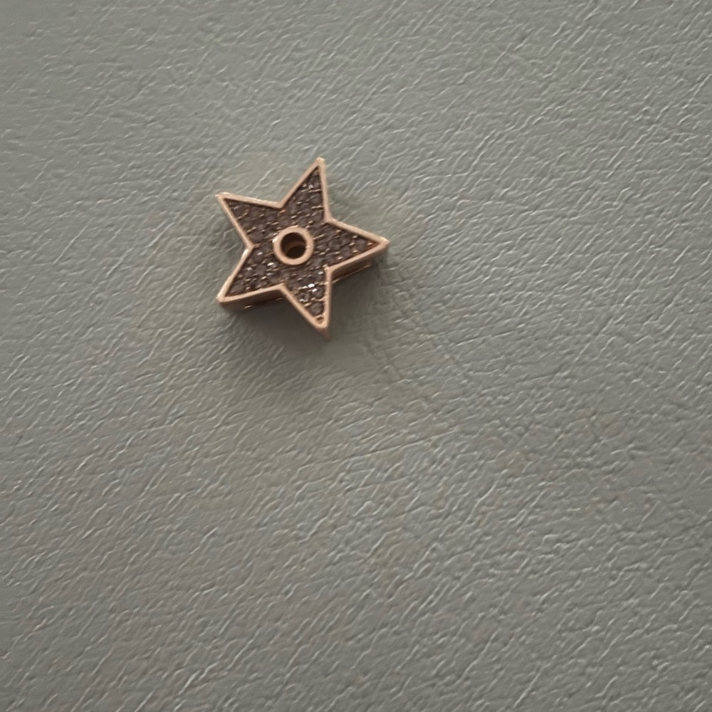 ABC Dior Gold Star Slider Charm